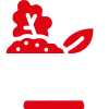 Салаты